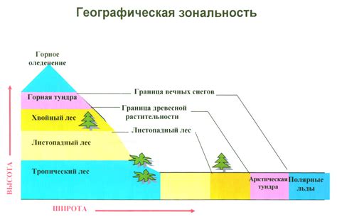 Индикаторы географической зональности