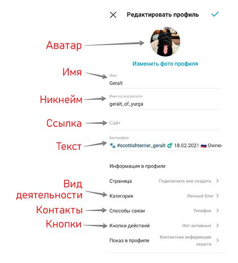 Инструкция по открытию профиля в Instagram на iPhone