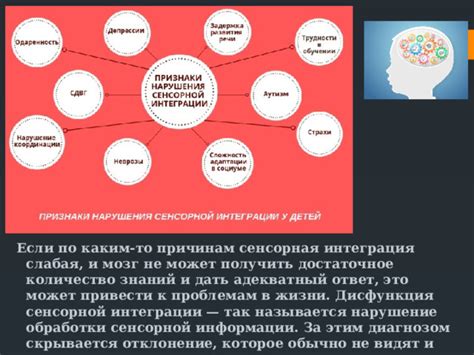 Интеграция сенсорной информации в конечном мозге