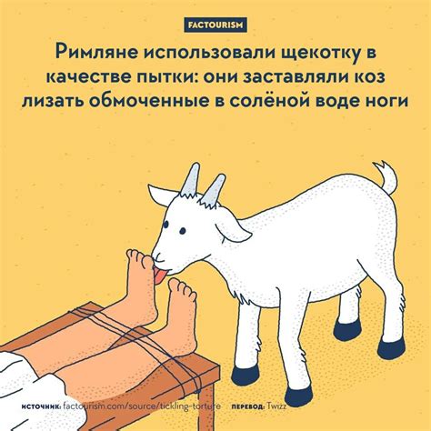 Интересные факты о женщине в карикатуре