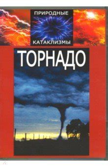 Интерпретация различных сновидений о торнадо