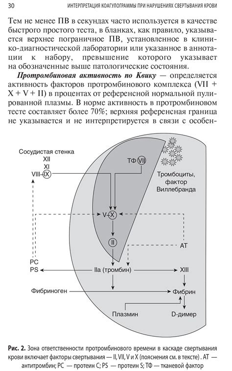 Интерпретация результатов коагулограммы