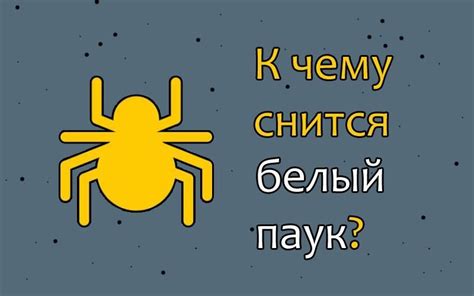 Интерпретация снов о плетущем паутину пауке для чернокожей женщины