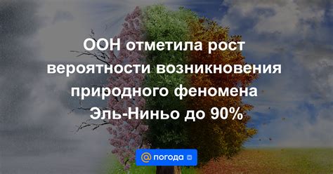 Интерпретация 90% вероятности дождя