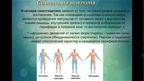 Инфекционные заболевания: важность своевременного обращения