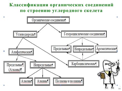 Инцифирнулие в человеческом организме