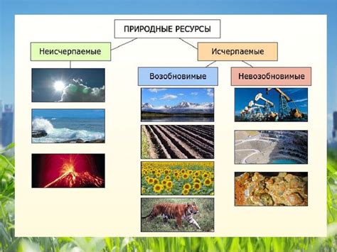 Исключительная природная богатство: тонны неисчерпаемых ресурсов