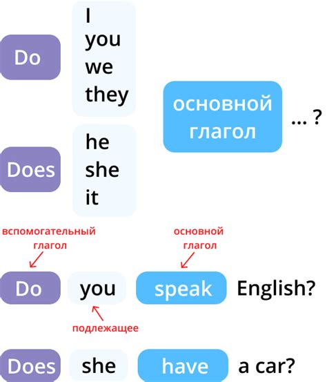 Использование "do" и "does" в английском языке: разница и правила