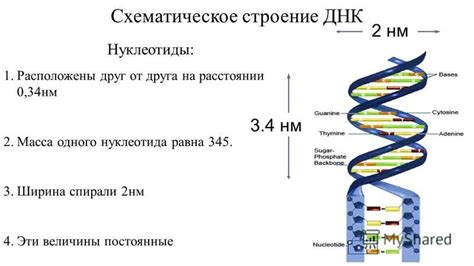 Использование ДНК-диагностических технологий