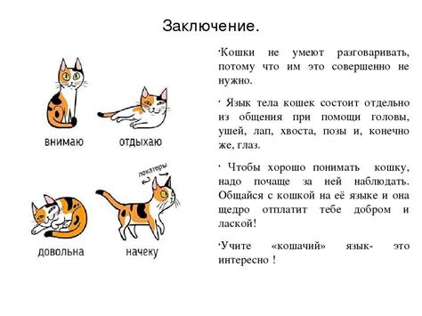 Использование кошачьего языка