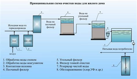 Использование пара и природных средств для очистки меха