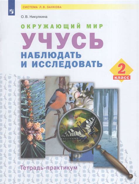 Исследовать окружающий мир на предмет ресурсов