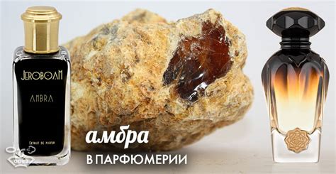 История амбры в парфюмерии