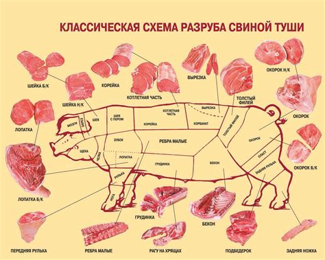 История возникновения карбоната свиного