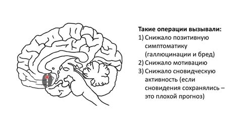 История изучения и толкования сновидений