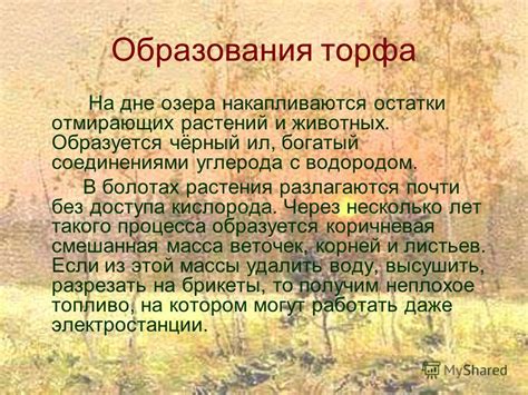 История образования торфа