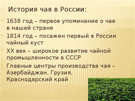 История производства чая в России