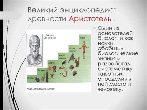 История развития биологической науки