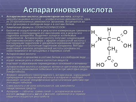 Источники аспарагиновой кислоты