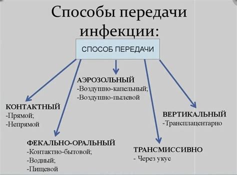 Источники инфекции и пути передачи сифилиса