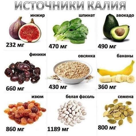 Источники калия и магния в продуктах для здоровья