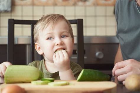 Кабачок для грудного ребенка: можно ли начинать сразу после ГВ?