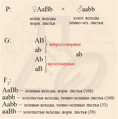 Какие еще символы могут встретиться в сновидении?