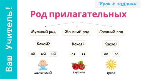 Какие имена прилагательные существуют?