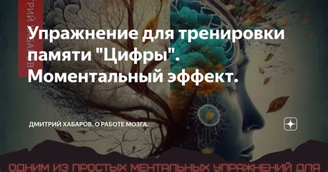 Какие методы эффективны для тренировки памяти?