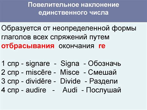 Какие особенности употребления глагола в 4 классе