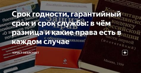 Какие права гарантирует разумный срок?