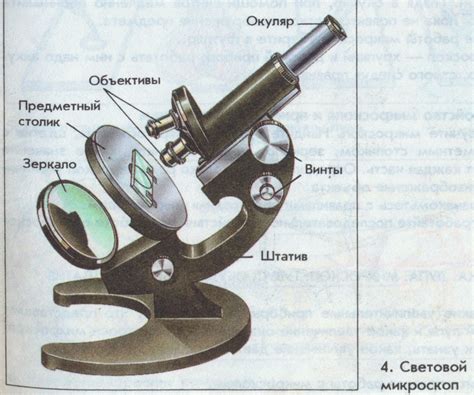 Какие предметы можно рассмотреть с помощью выносной лупы