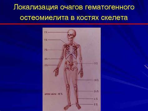 Какие признаки свидетельствуют о наличии остеобластических очагов в костях?