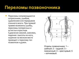 Какие причины приводят к компрессионным изменениям тел позвонков