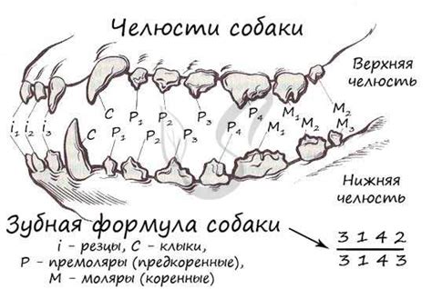 Какие проблемы они могут вызвать?