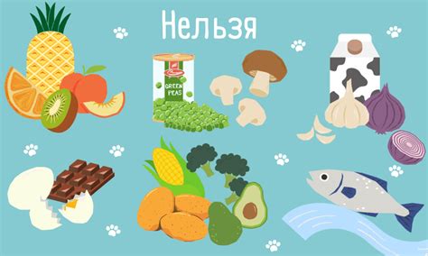 Какие продукты нельзя давать рыбам