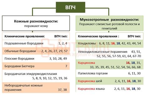 Какие симптомы сопровождают ВПЧ 44 типа?