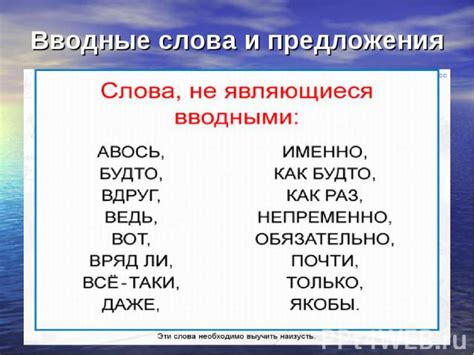 Какие слова могут выдать ее симпатии?