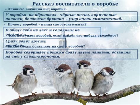 Какие события прогнозируются по сну о воробье, попавшем в окно