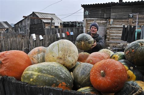 Какие сорта популярны сегодня