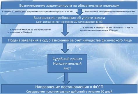 Какие сроки установлены для взыскания налогов и сборов?