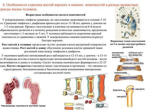 Какие факторы могут влиять на неправильное развитие костей у новорожденных?