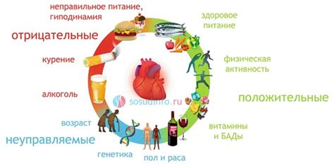 Какие факторы могут повлиять на состояние нервной системы ребенка?