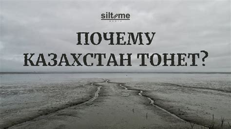 Какие юридические меры можно предпринять, чтобы избежать проблем с автомобилем в будущем?