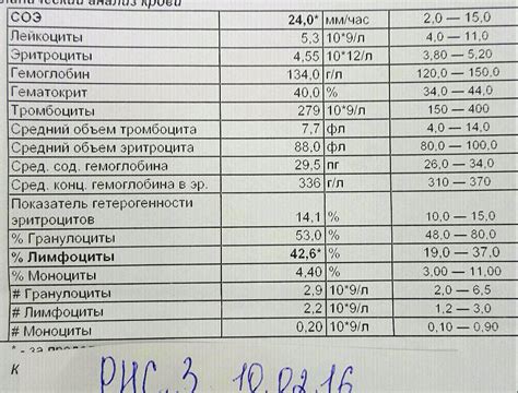 Каковы нормальные показатели?