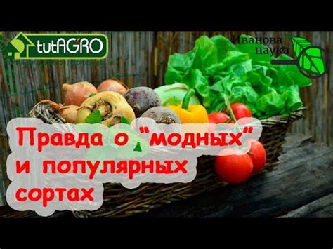 Какой сорт кокосовых стружек лучше выбрать?