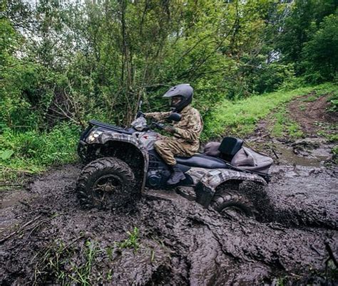 Какой транспорт лучше выбрать для поездки в пустыню