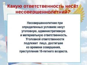 Какую ответственность несет лицо, лишенное прав?