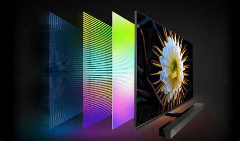 Какую технологию дисплея выбрать: OLED или LED?