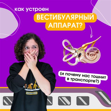 Как вестибулярный аппарат влияет на наш организм